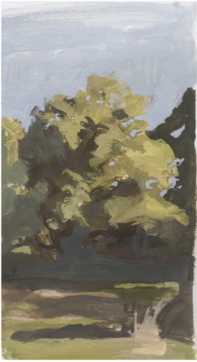 Mountain Sketch 2023